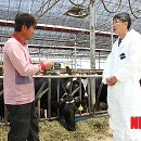 고지리보촌마을