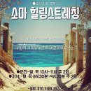 스트레칭발레(초급) 이미지