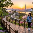 [서울 초보 등산] 운동화도 OK, 하지만 트레킹화면 더 완벽! 등린이를 위한 서울 명산 TOP 3 이미지