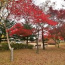 대덕연구단지체육공원 이미지