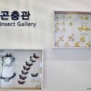 미호박물관 이미지