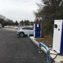 대한렌트카 이미지