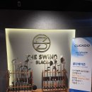 더스윙고양 이미지