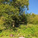 다락골줄무덤 주차장 이미지