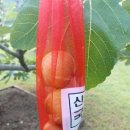 큰어리골 쉼터 이미지