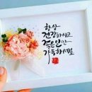 협동조합 둥지 이미지
