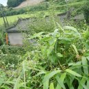 성대농장 이미지