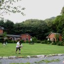 황토와 통나무 캠핑장 이미지