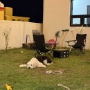 히든스테이 이미지