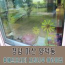 메트로 사과나무 어린이집