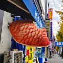 부평제일약국 | 인천 부평 붕어빵, 청천동/산곡동 붕세권 위치 공유!