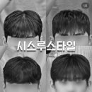 디아브헤어 이미지