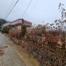 하장안마을회관 이미지