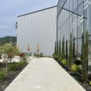 미드데이