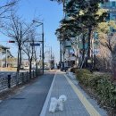 동물에 반하다 동물병원 이미지