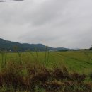 신도3리 이미지