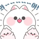 착한낙지 수유본점 이미지