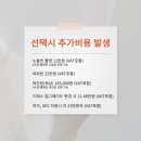 해밀3 | [광주 랑게해밀웨딩스튜디오 촬영후기] 드레스추가금 vs 프리패스