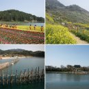 엑스포로1 이미지