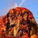 삶의 보람 이미지