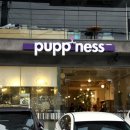 퍼피니스 이미지