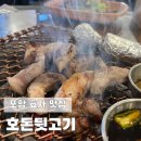 씨유 포항형산강변점 | 포항 효자 맛집 호돈뒷고기 특수부위모듬 벌집껍데기 후기