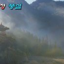 월류정 Daum카페