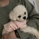 광장강택구법무사사무소