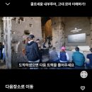 수스비 | 로마 - 콜로세움 방문 후기 (티켓 하나로 총3군데 방문 가능!)