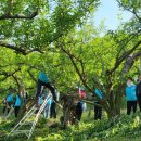 우암삼일브리제하임아파트경로당 | 충청도에유~~ 청주