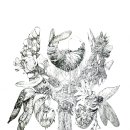 [백석]펜화 이미지