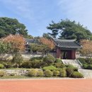 뚱할머니국수
