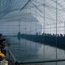 신당낚시터 이미지