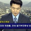 리플 달수밖에 없는 속보 이미지