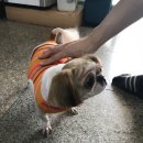 교현2동주민센터 이미지