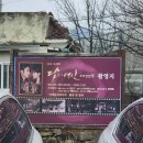 대곡3길 | 대구 매화 명소 남평문씨본리세거지 가족 나들이로 딱인 곳 산책 농구 야구 유아 트램펄린 홍매화 백매화