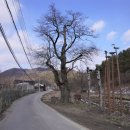 원용복마을 이미지