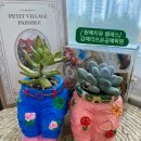 반려식물 원예화분 공예 이미지