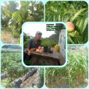 주형농장 이미지