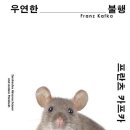 이* - 미추홀구 낙섬서로18번길 33-29 | 이*