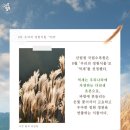우아한바람