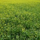 제주풍경하우스 이미지