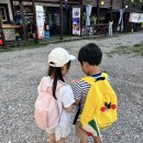 팔딱팔딱식당