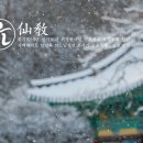 선기로1-4 이미지