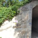 내리1리 마을회관 이미지