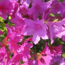 장동호치과의원 이미지