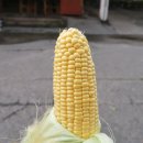 이가목장 이미지