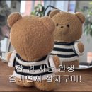 차박사 | 미국 CSE 박사 6개월차 솔직 비교 후기 (미박 vs. 한박, 어디가 더 좋나요?)