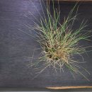 길머리 공원 이미지