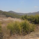 곡성-261 네이버블로그